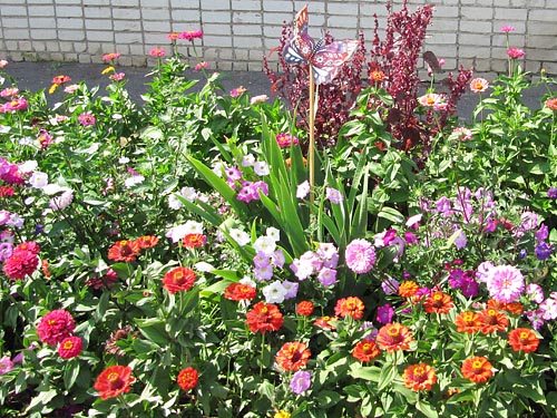 . ���������� ������� ����� - ������ �������� ���������.