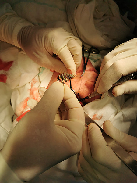 IMG_20211029_095641. 