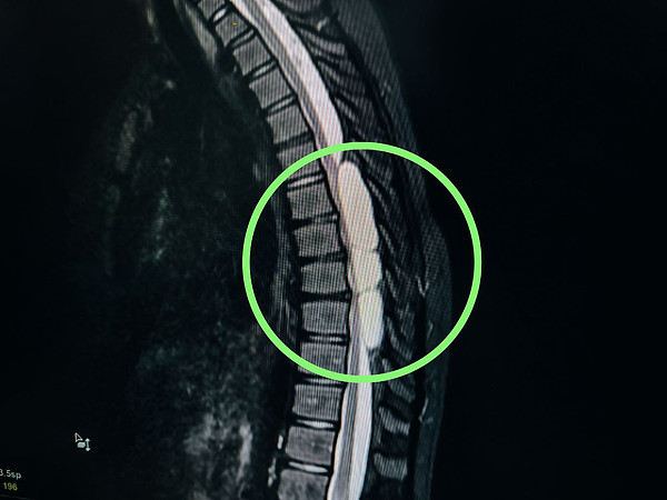 photo_2025-06-17_15-49-35 (3). 