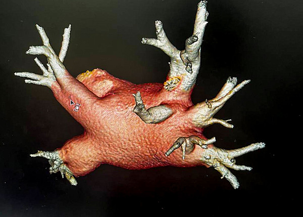 3� ������ ������. 