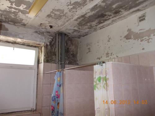 05_��. 1 ���� ��������� �� �������.