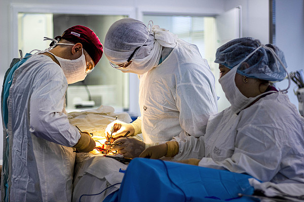 ������ ��������� ���� 1. 