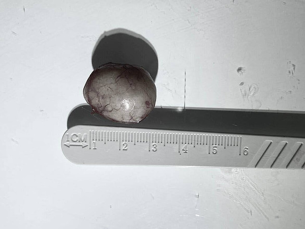 photo_2024-05-24_11-02-40. 