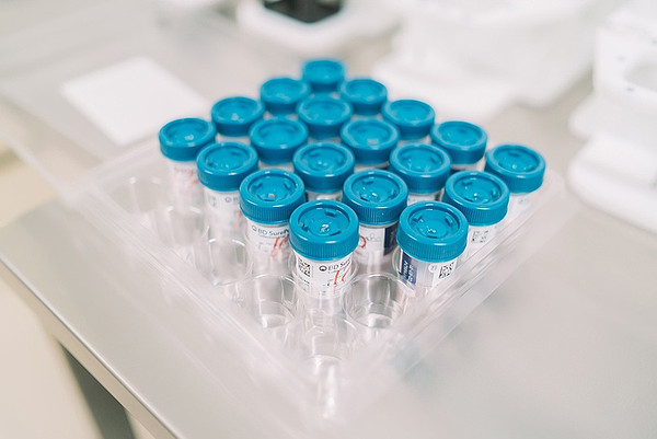 IMG_20241108_103019_131. 