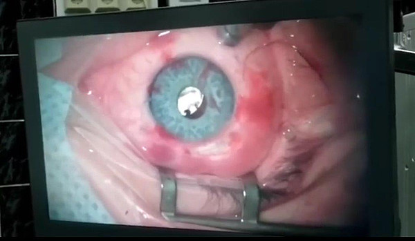 ���� ������������. 